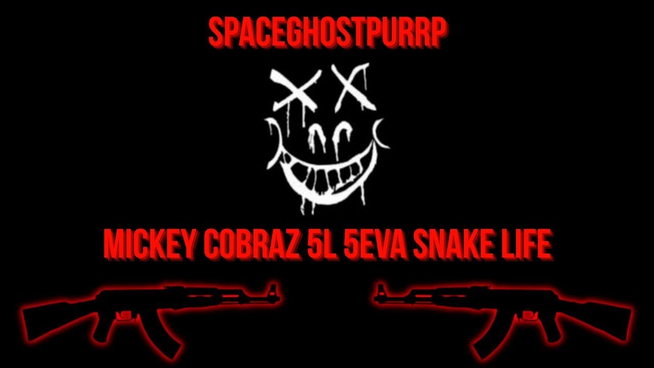 SPACEGHOSTPURRP - MICKEY COBRAZ 5L 5EVA SNAKE LIFE ( Q50 Diss ) PROD BY 