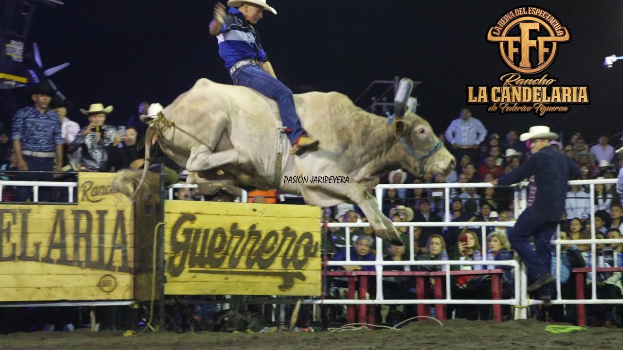 15 Torazos nacidos y criados en RANCHO LA CANDELARIA | Yecapixtla Morelos 2023 | Jaripeo Completo