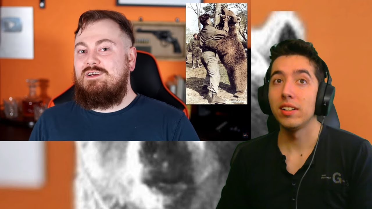Reacting to Count Dankula Absolute Mad Lads - Wojtek The Battle Bear