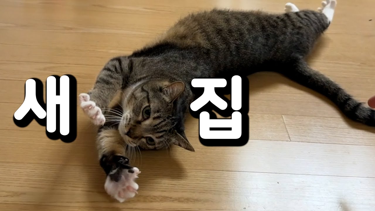 춘봉첨지가 사다준 집 소개시켜드립니다