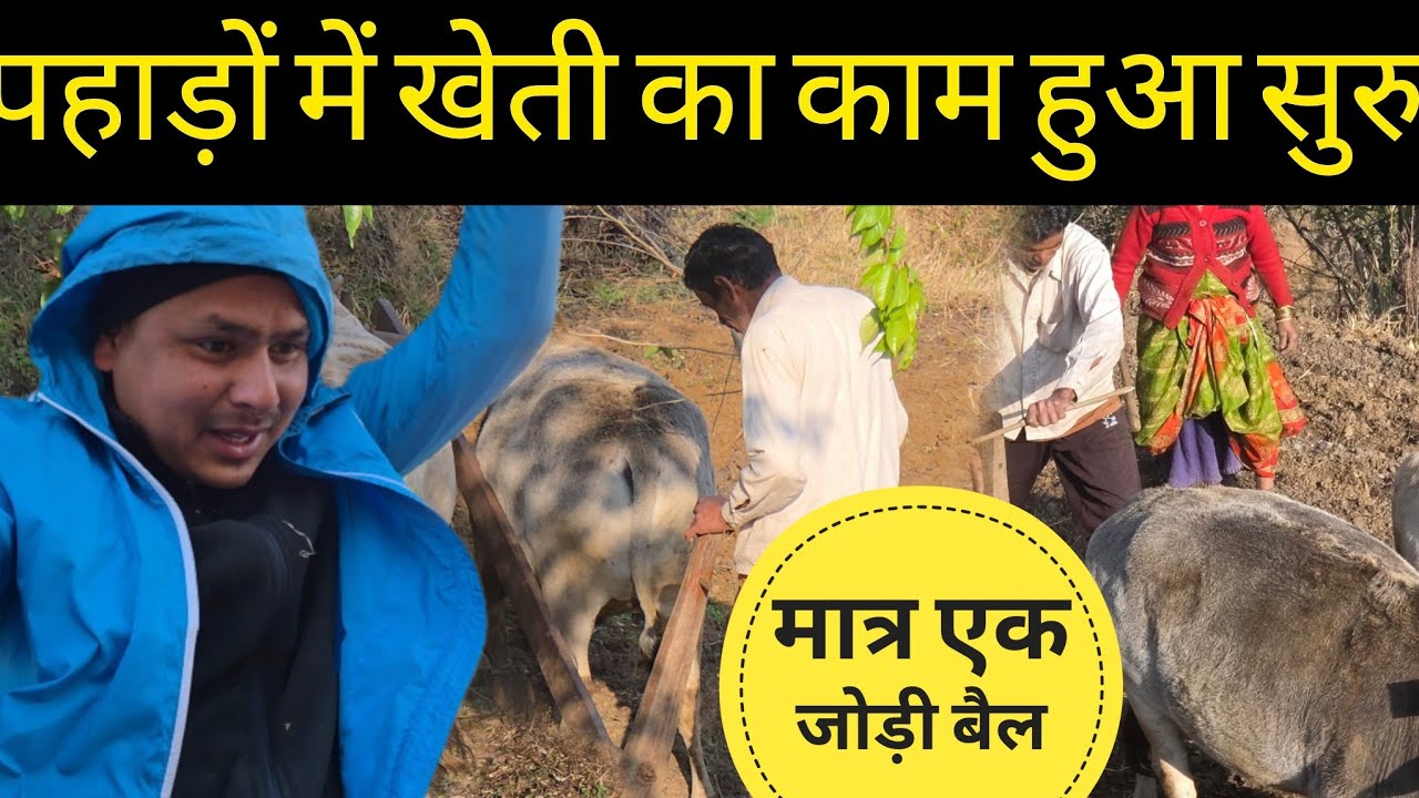 पहाड़ों में खेती का काम सुरु? 