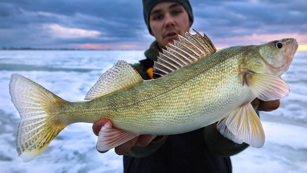 Ice Fishing For Lake Manitoba Walleye - South Basin
