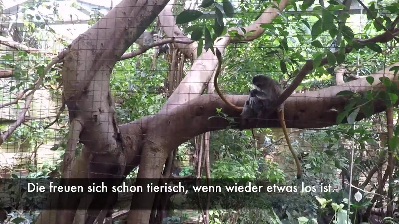 Welcome Back! Der Tierpark Bern öffnet wieder seine Tore.