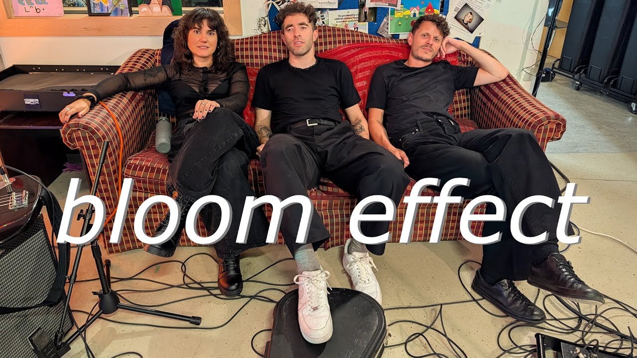 bloom effect (September 4, 2025)