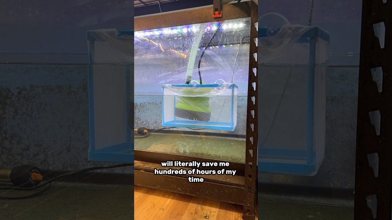 Water change HACK to save time!!