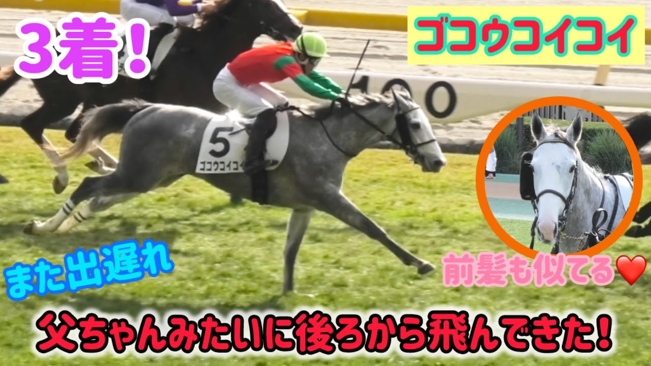 【ゴールドシップ産駒】また出遅れ→父ちゃんみたいに後ろから飛んできて3着に好走したゴコウコイコイ