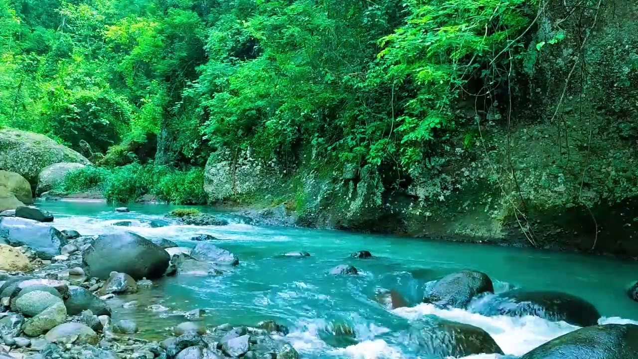 '''''Healing Nature Ambience, Beautiful Stream Through Green Forest, and Flowing Water
