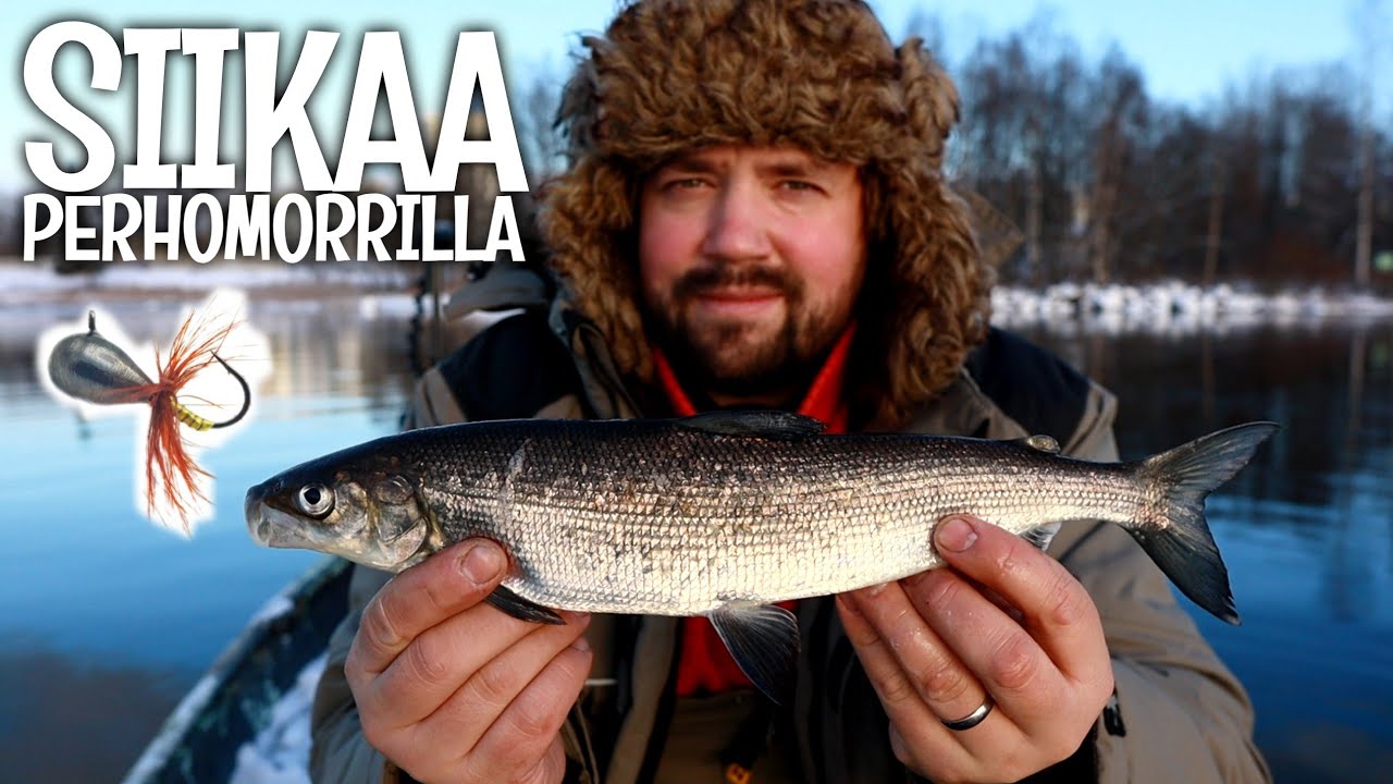 SOPULI KALASTAA SIIKAA | OULUNJOKI
