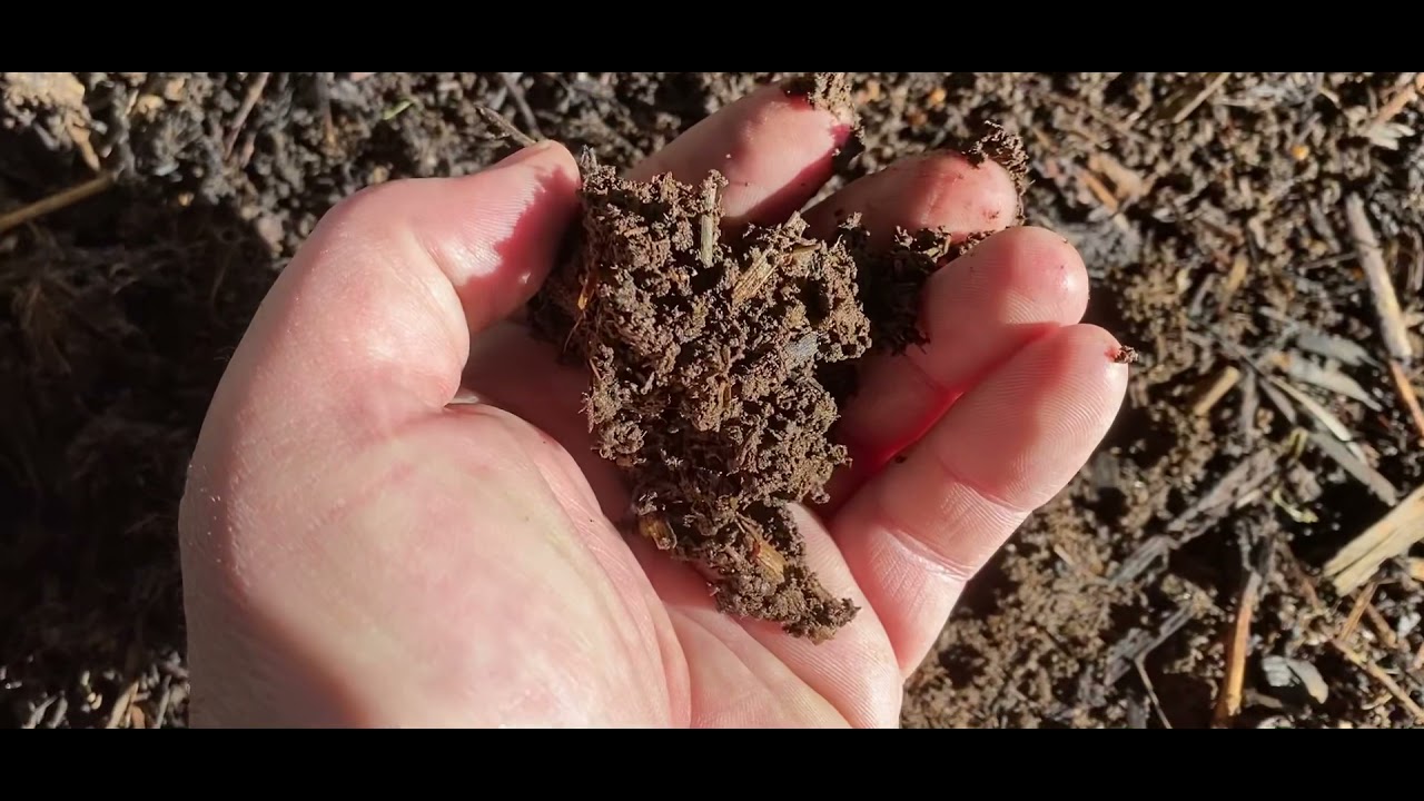 Johnson Su Bioreactor day 395 a year in review.