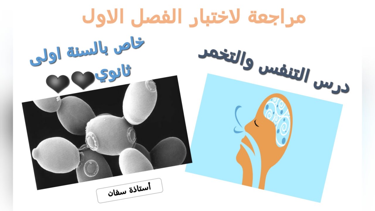 مراجعة لالية التنفس والتخمر ✌♥تحضيرا للفرض والاختبار للسنة اولى ثانوي