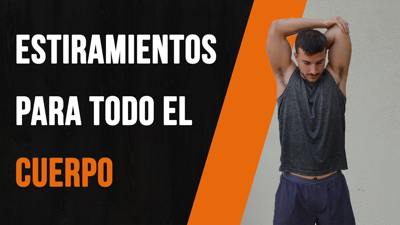 Cómo ESTIRAR TODOS los MÚSCULOS 🧍‍♂️