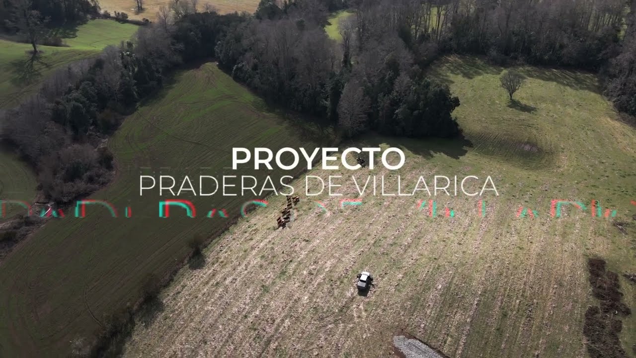 Parcelas Villarrica, Praderas de Villarrica, PROYECTO DE PARCELAS AGR&Iacute;COLAS