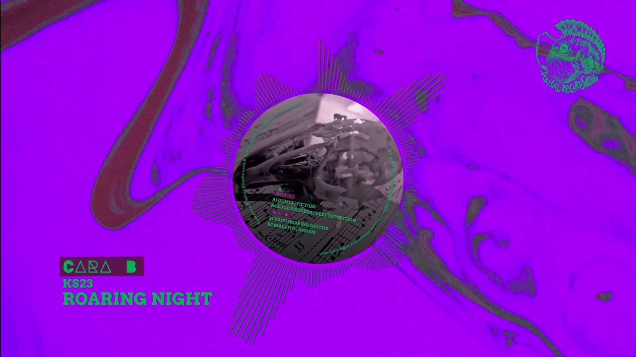 B1- KS23/ Roaring night ((ABSL02V)Abisal Records