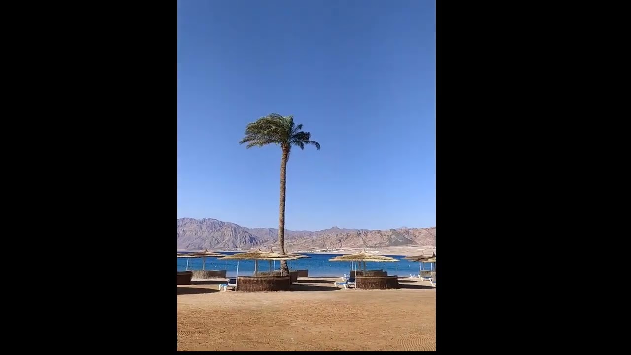 Lagoon Resort Dahab 4+Egypt (Ex Tirana Dahab) честный обзор отеля март 2026 года!!!