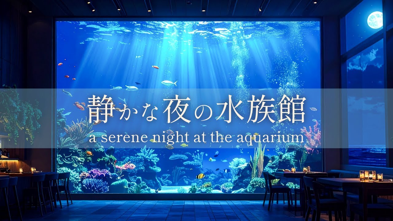 【リラックスBGM】静かな夜の水族館｜作業用・勉強用・playlist｜serene night at the aquarium