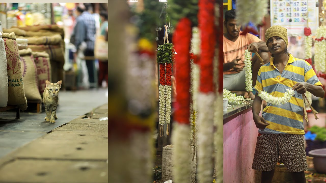Pondicherry | Street photography | POV | Tamil | Night #pondicherry #photography #night