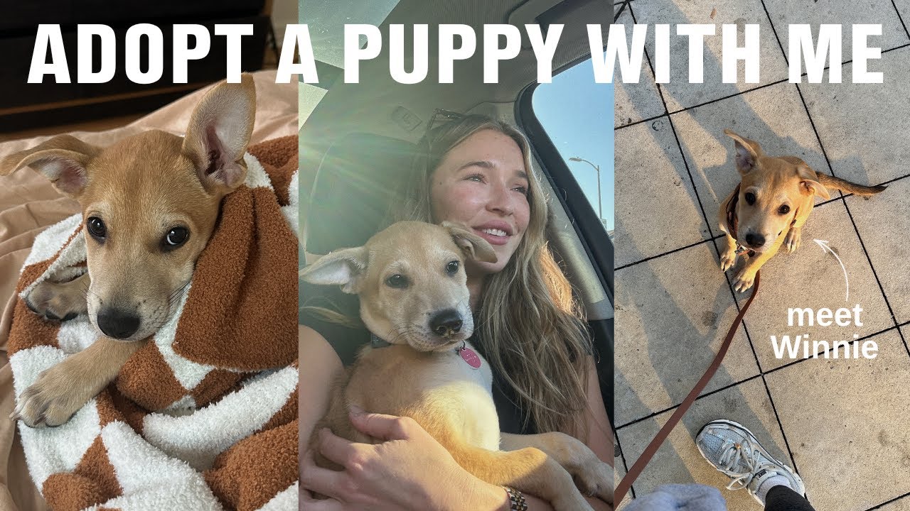 Adopt A Puppy With Me 🐾✨