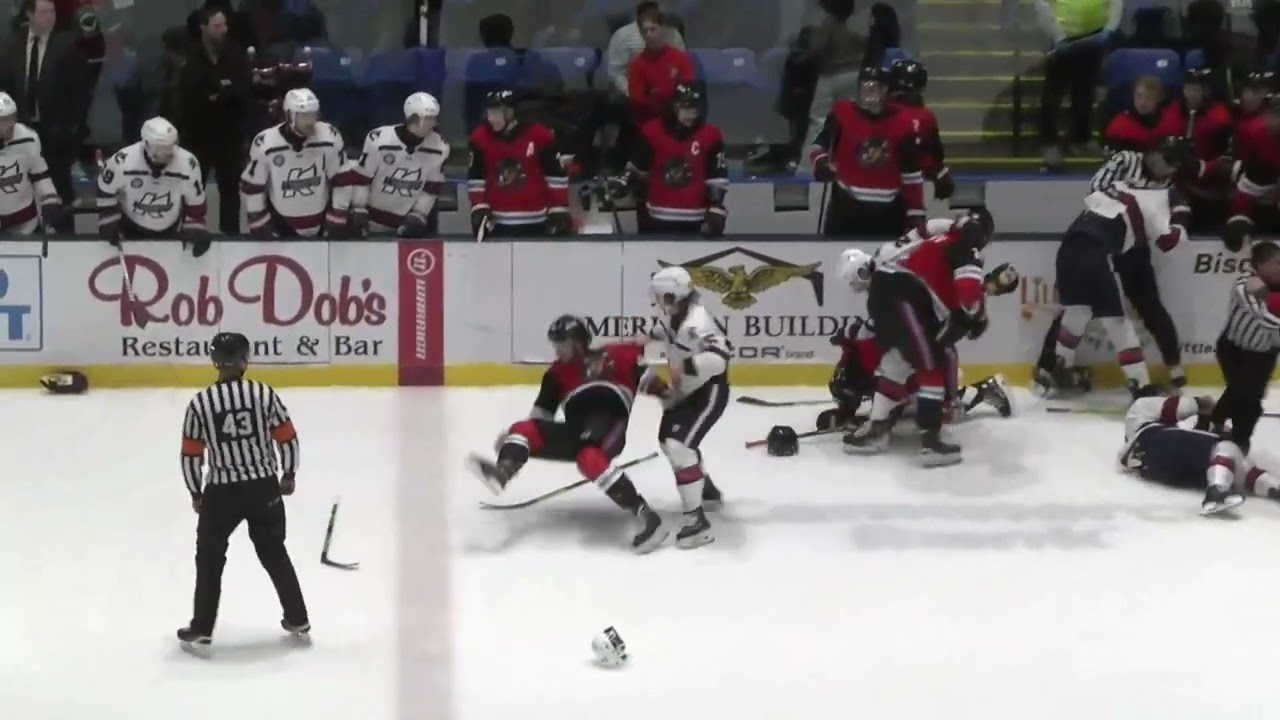 12/29/2024 Bloomington Bison vs Kalamazoo Wings Fight