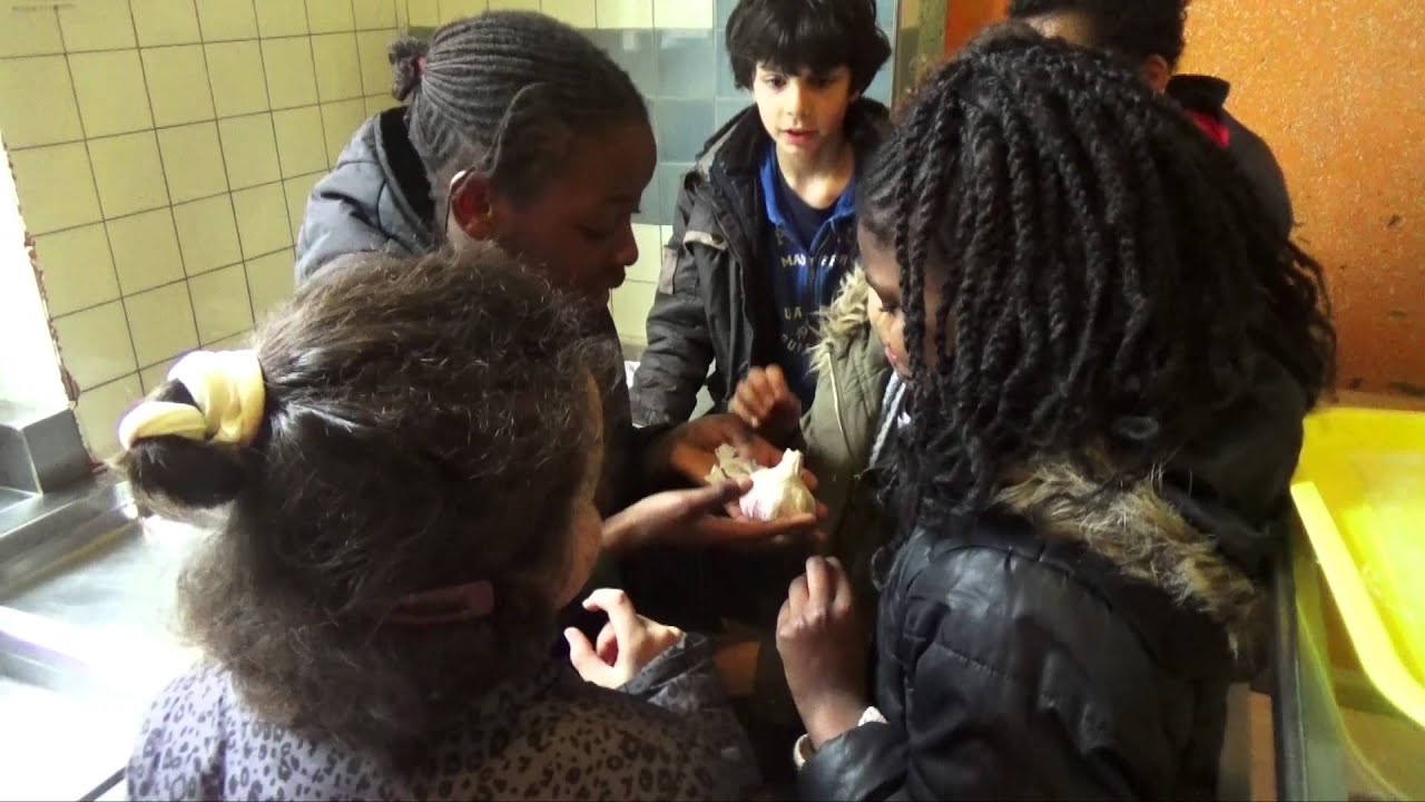 Scenarlab B A Attaque de vampires