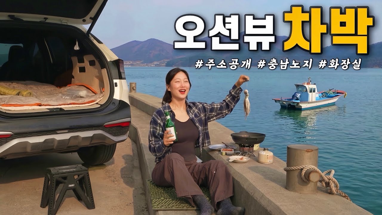 나혼자 바다 앞에서 알배기 쭈꾸미에 소주 한잔,  근데 모르는 남자와 경찰이 왔다..?😨 스포티지 차박캠핑 / 서산 차박 / 솔로 차박 / 캠핑 브이로그