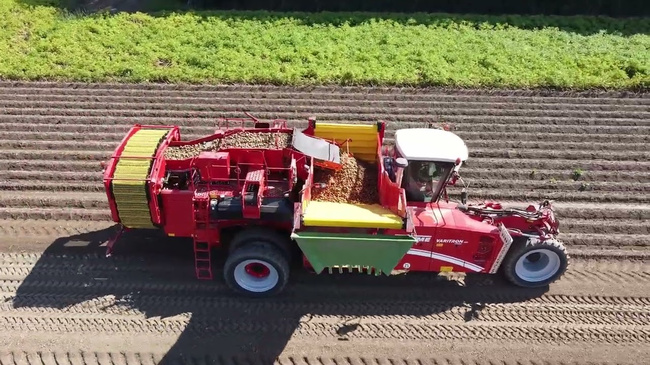 Aardappels rooien met een Grimme Varitron 270 Platinum RS