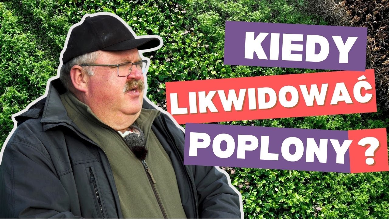 Kiedy likwidować poplony? Porady dla dbających o glebę z Profesorem Tomaszem Piechotą | e-pole