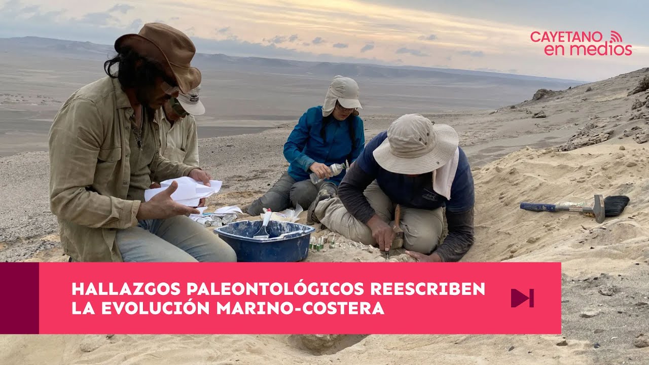 Hallazgos paleontológicos reescriben la evolución marino-costera | Cayetano en Medios