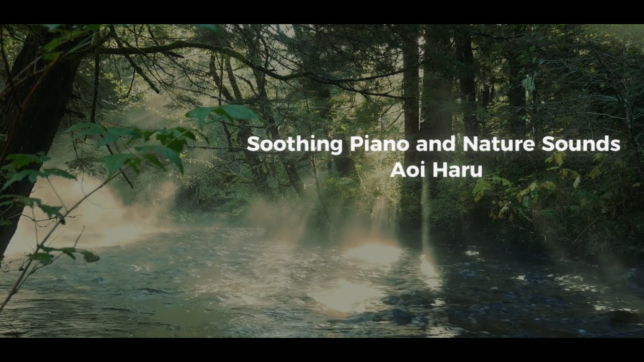 Relaxing Forest Music, Gentle Piano for Meditation,Sleep,Stress Relief and Relaxation