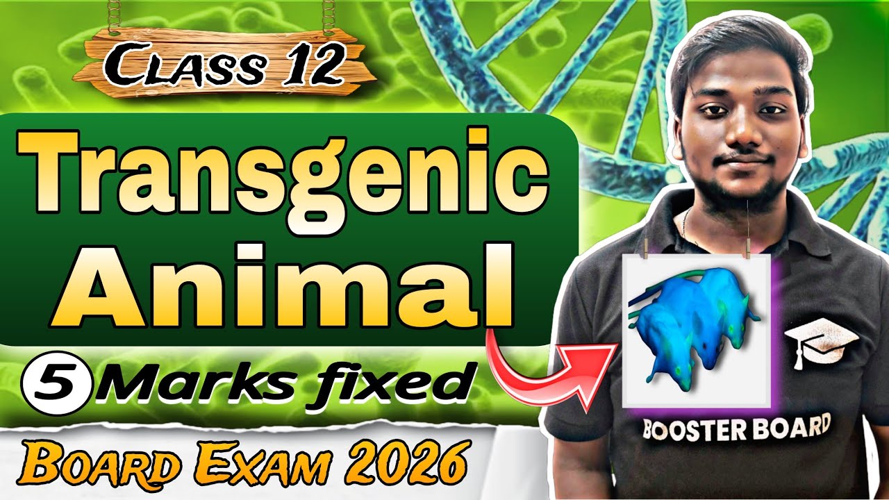 Transgenic Animal Explained | Class 12 Biology | Biotechnology| Board Exam 2026