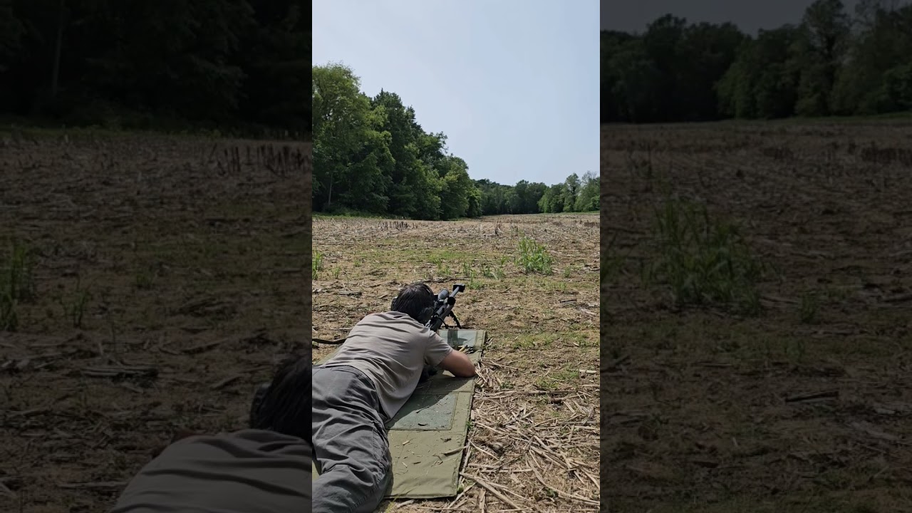 Armalite AR50 at Distance!
