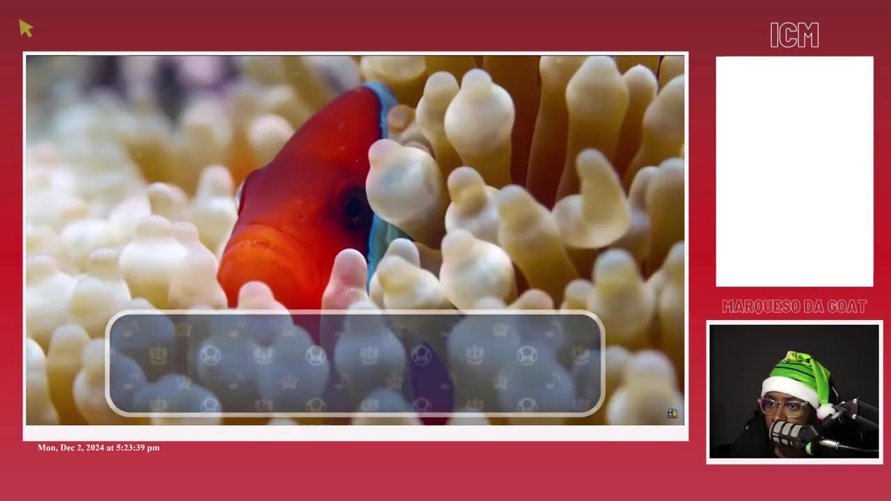 MDG Reacts To TierZoo - The Jellyfish Tier List