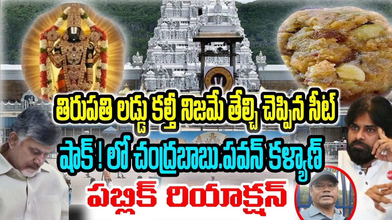 తిరుమల లడ్డు వివాదంపై పబ్లిక్ రియాక్షన్ | తిరుపతి ఘటనపై ప్రజల స్పందన | Tv66 telugu