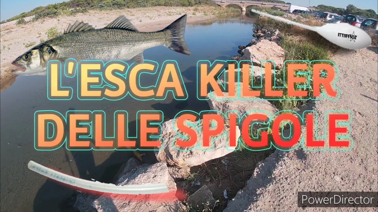 Pesca infallibile alla Spigola | Bombarda & Tubicino | Light Spinning | Esca Killer