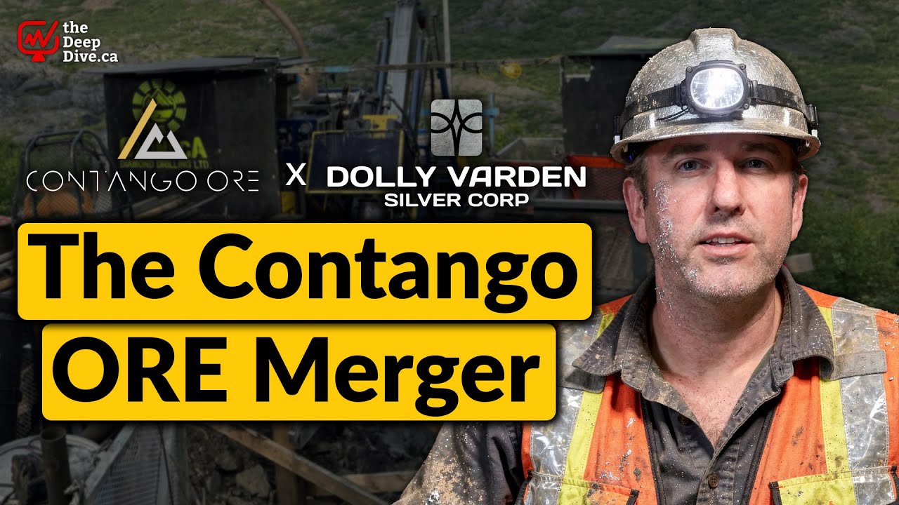 Новый североамериканский производитель! | Dolly Varden Silver x Contango ORE
