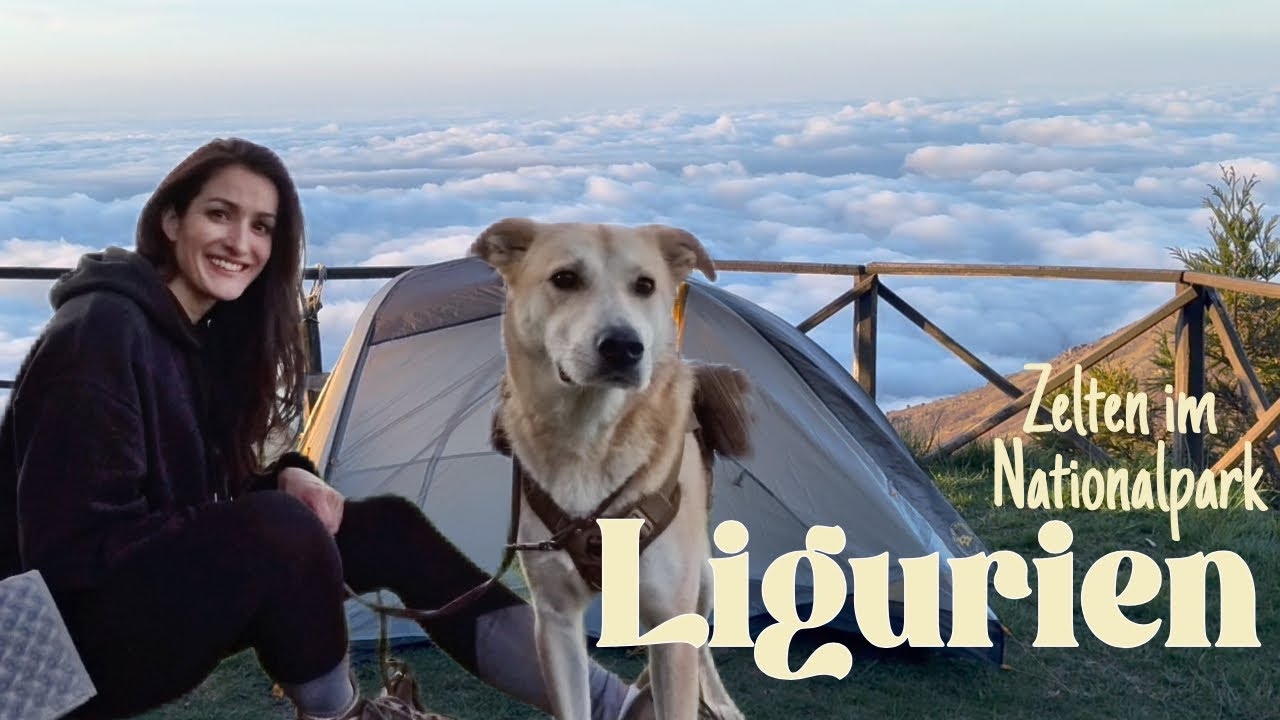 Zelten mit Hund im Nationalpark - ist das legal?