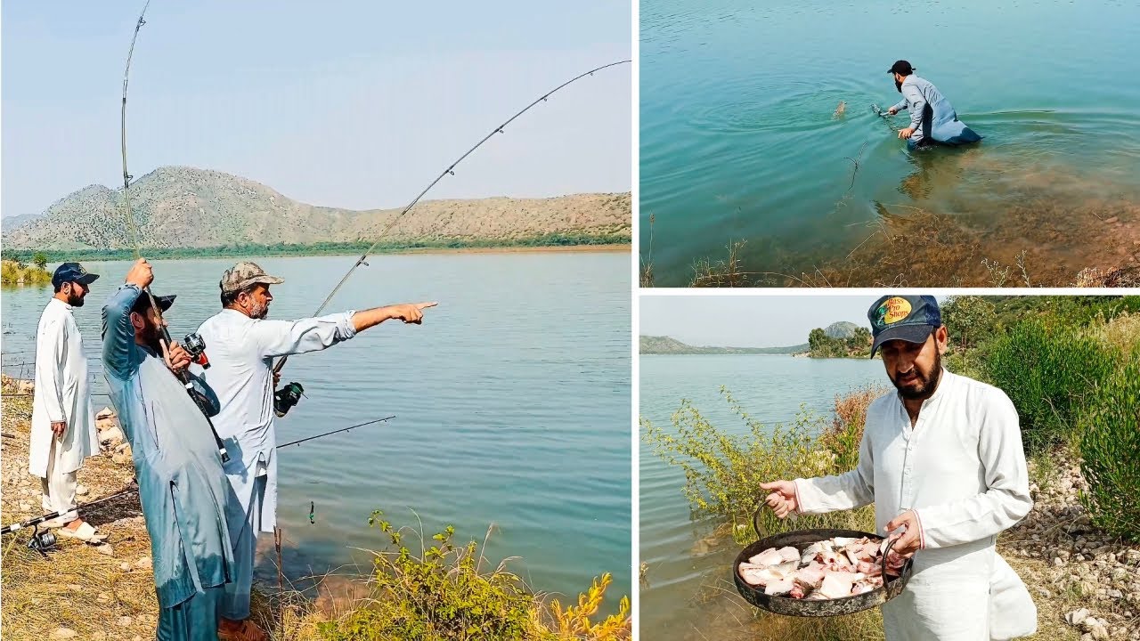 FISHING VIDEO KOHAT TANDA DAM | VILLAGE FISH CATCHING | MRIGAL FISH CATCHING
