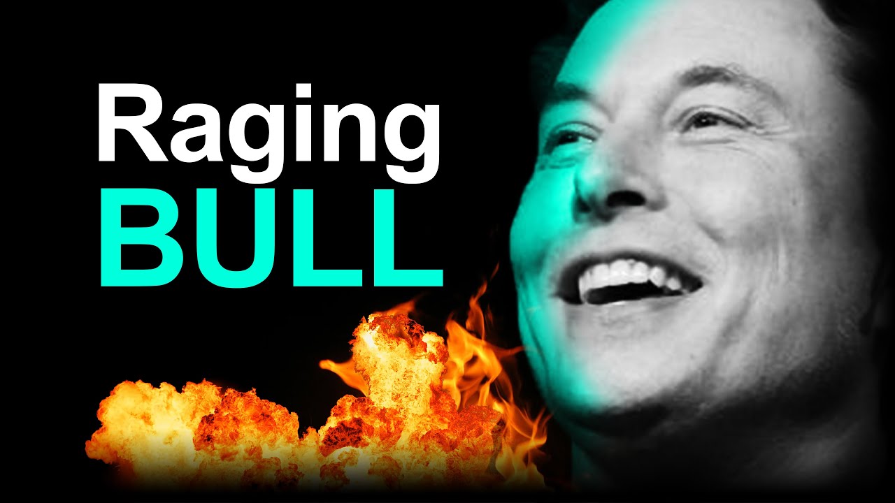 Tesla Bull Goes CRAZY: Stock &ldquo;Best Value