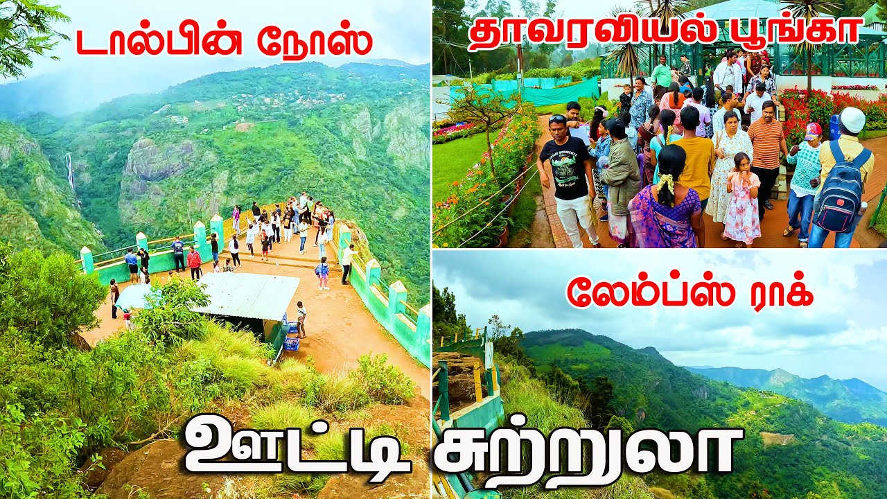 ஊட்டி சுற்றுலா - Dolphin Nose | Lambs Rock | Botanical Garden | Ooty Tourist Places | gptamil vlogz