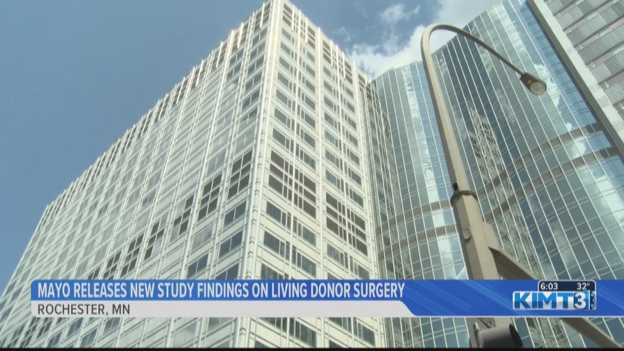 Study on health risks of living kidney donors