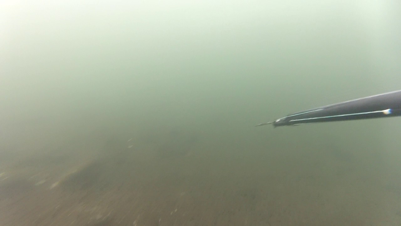 GOPR0033
