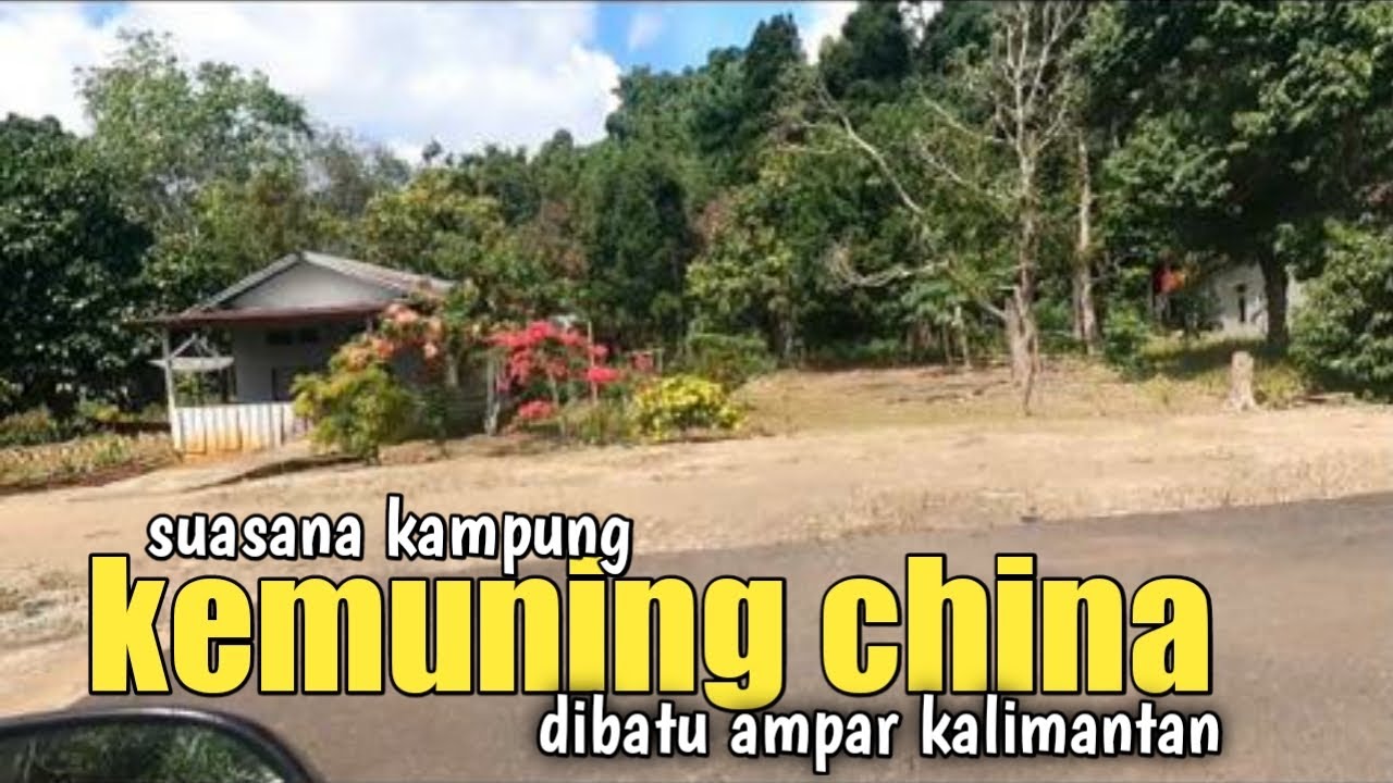 Melihat dari dekat perkampungan Tionghoa di batu ampar Kalimantan