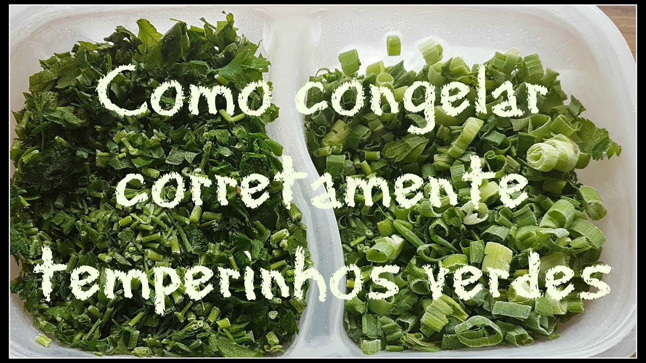 COMO CONGELAR TEMPERINHOS VERDE CORRETAMENTE