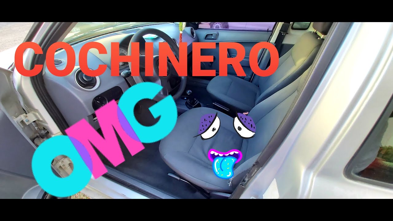COMO LIMPIAR ALFOMBRA Y ASIENTOS DE AUTOS ( pointer pickup )