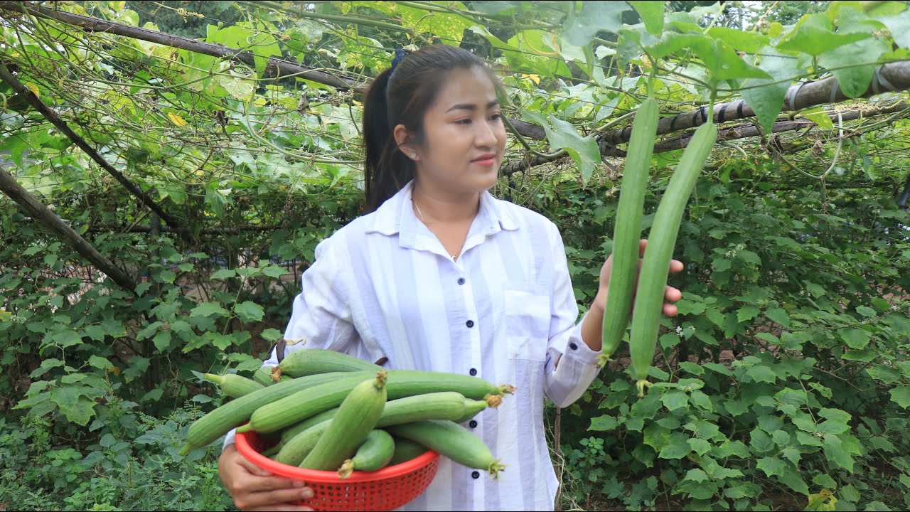 Stir fry sponge gourd with tiger shrimps recipe / 2 recipes with sponge gourd