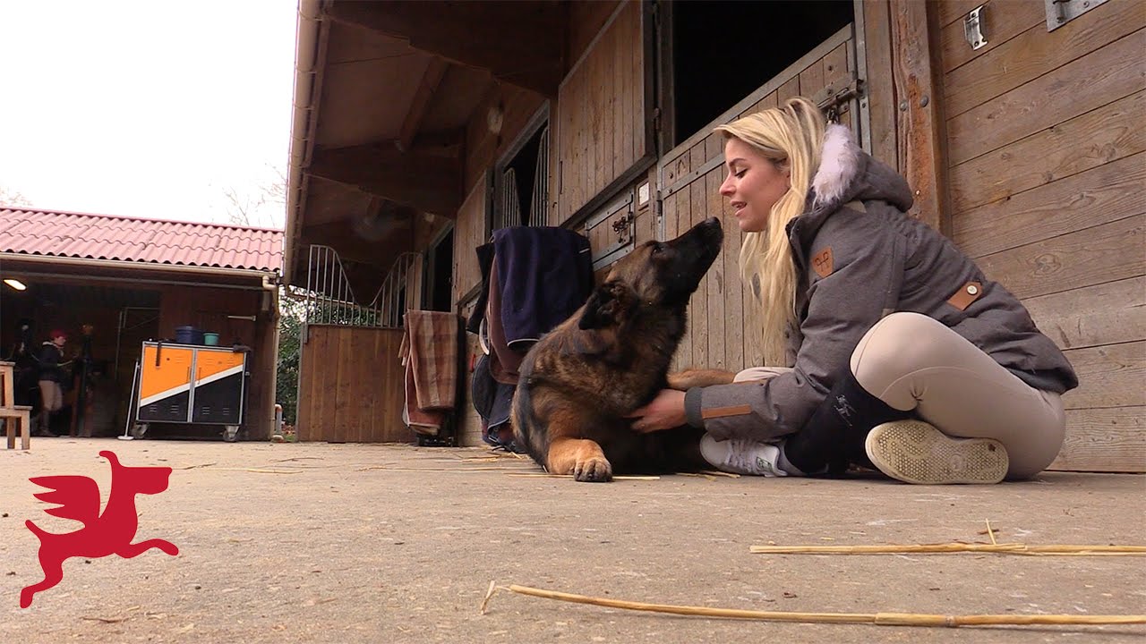 Sophie Tapie, nature et sauvage