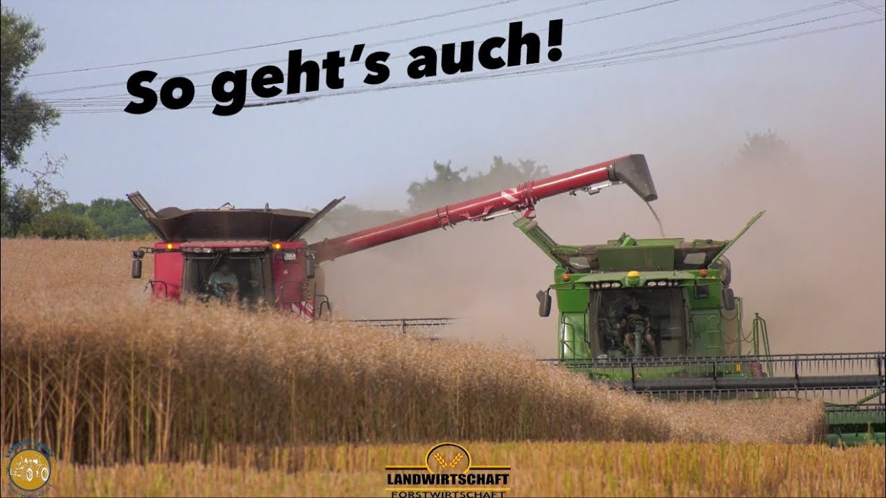 Erstmal in den anderen Mähdrescher Abbunkern! Raps Ernte auf dem 170ha Feld 3 Mähdrescher im Einsatz