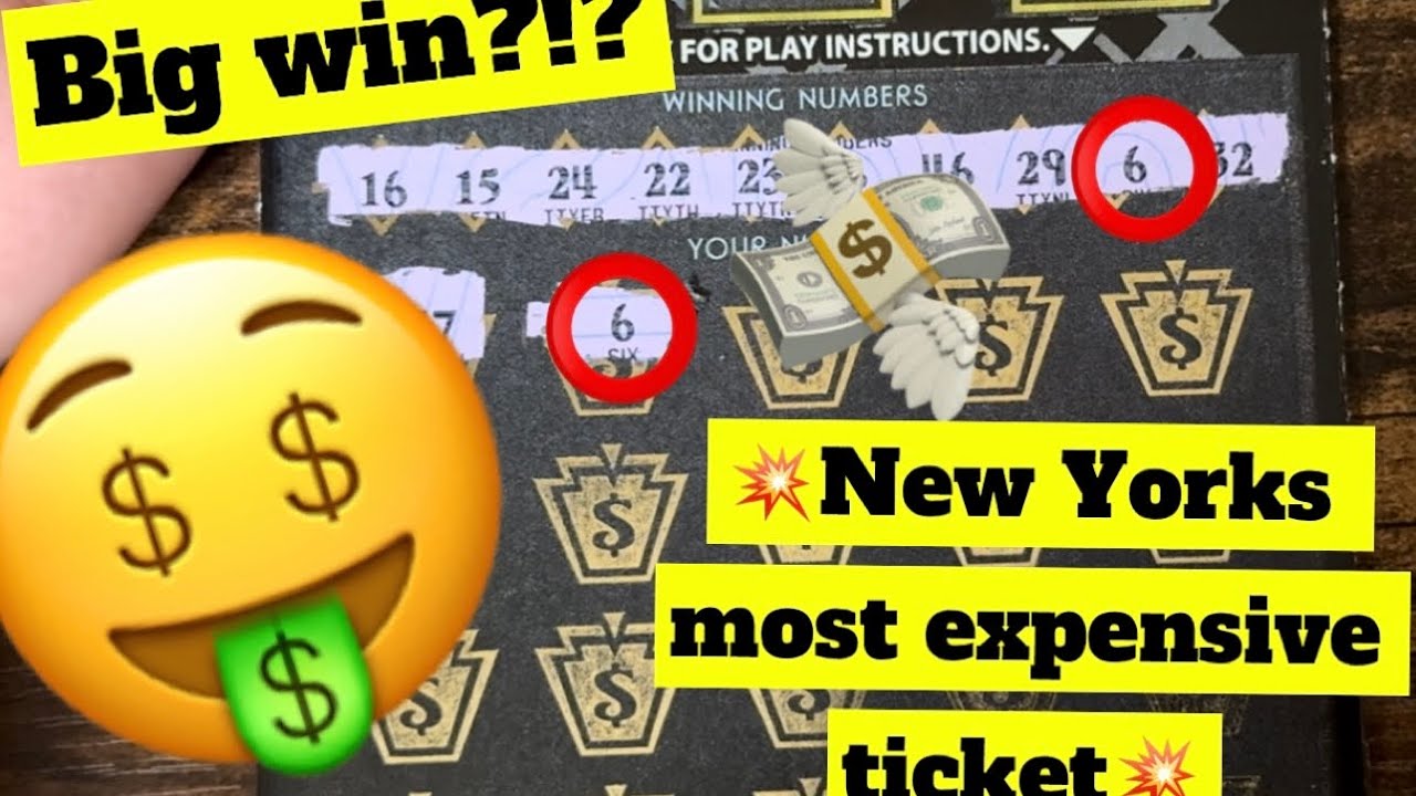 💥Finding winners on New Yorks most expensive ticket!!💥