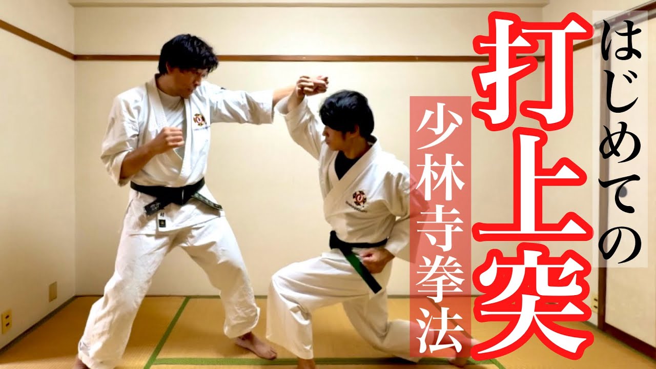 打上突 はじめての 少林寺拳法シリーズ 茶帯への道