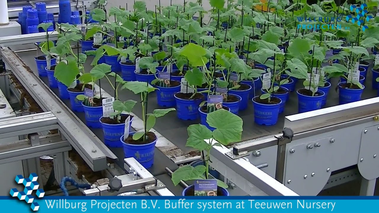 Willburg Projecten B.V. - WBM Processing line for Vegetable plants.