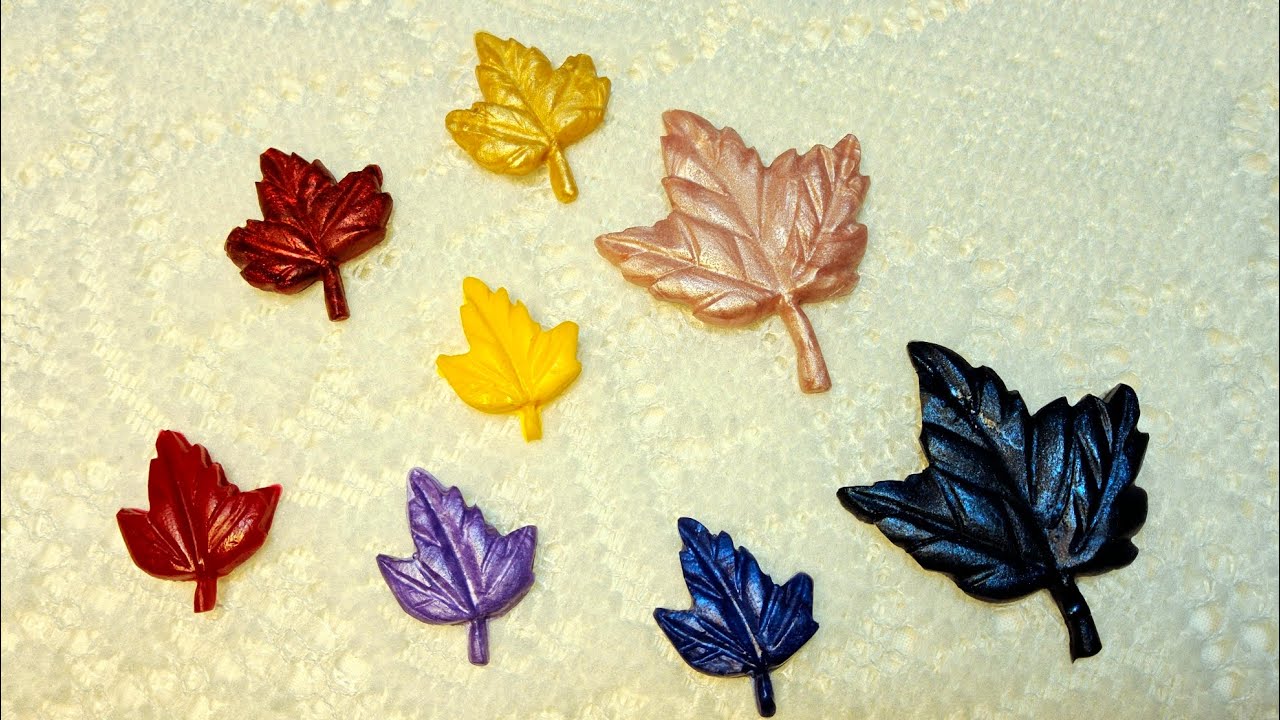 가을 햇살에 반짝이는 왁스 단풍잎🍁